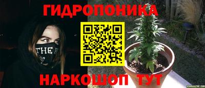альфа пвп Нарткала