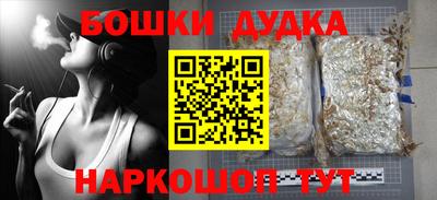 крисы Нальчик