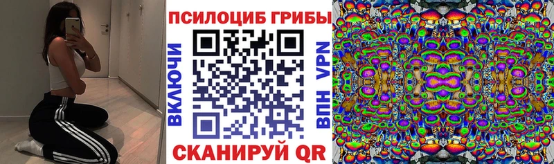 Псилоцибиновые грибы Cubensis Вологда