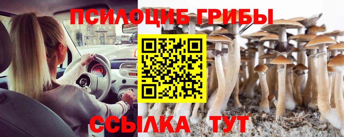 Вологда  Псилоцибиновые грибы Psilocybe  Вход с VPN  Псилоцибиновые грибы прущие грибы 